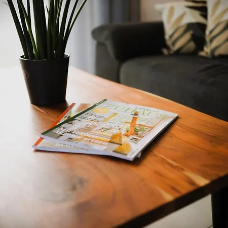 An Der Steinfurter Aa 公寓 施泰因福特